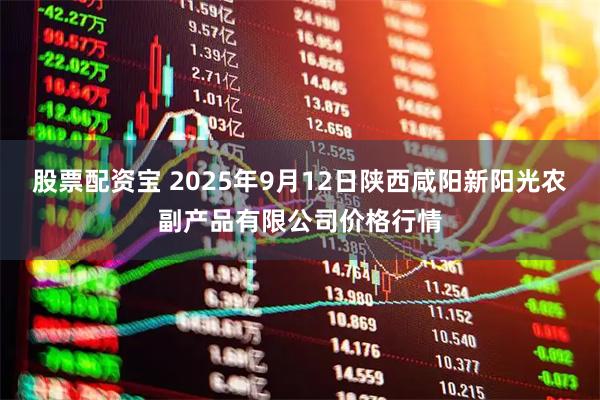 股票配资宝 2025年9月12日陕西咸阳新阳光农副产品有限公司价格行情
