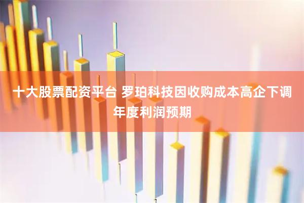 十大股票配资平台 罗珀科技因收购成本高企下调年度利润预期