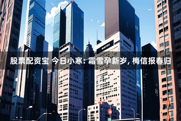 股票配资宝 今日小寒: 霜雪孕新岁, 梅信报春归