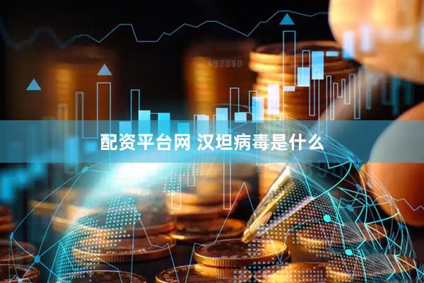 配资平台网 汉坦病毒是什么